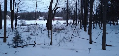 Waldeck Island Nature Preserve