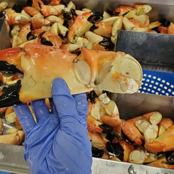 Aripeka Stone Crab Company