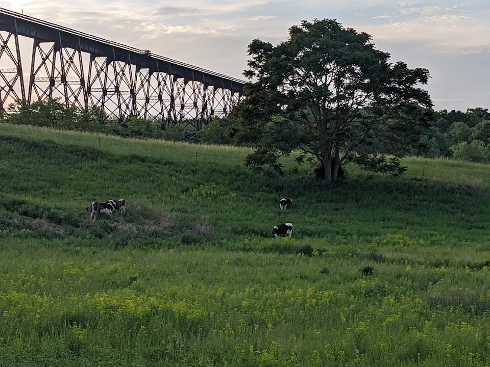 Gray Family Farm