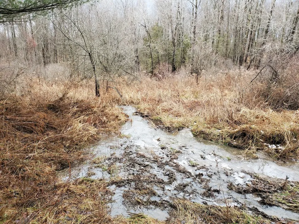 Russell Park Mountain Biking Trails