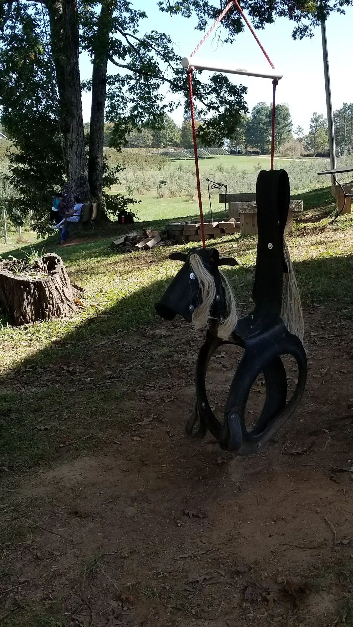 Chattooga Belle Farm
