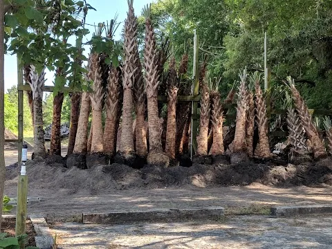 B C Mulch & More Inc