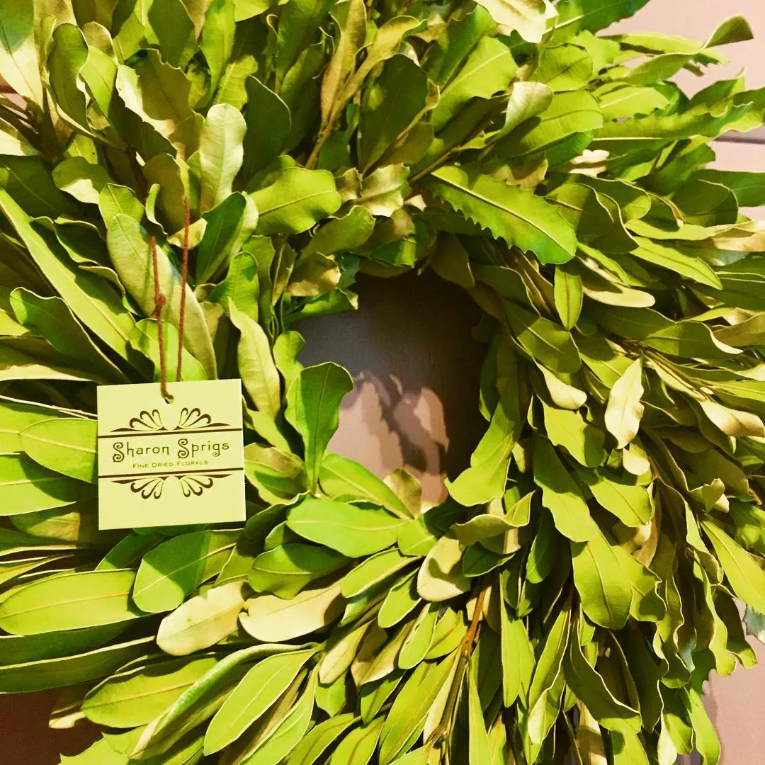 Sharon Sprigs Fine Dried Florals & Gifts