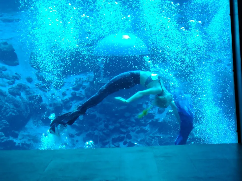 Weeki Wachee Springs State Park