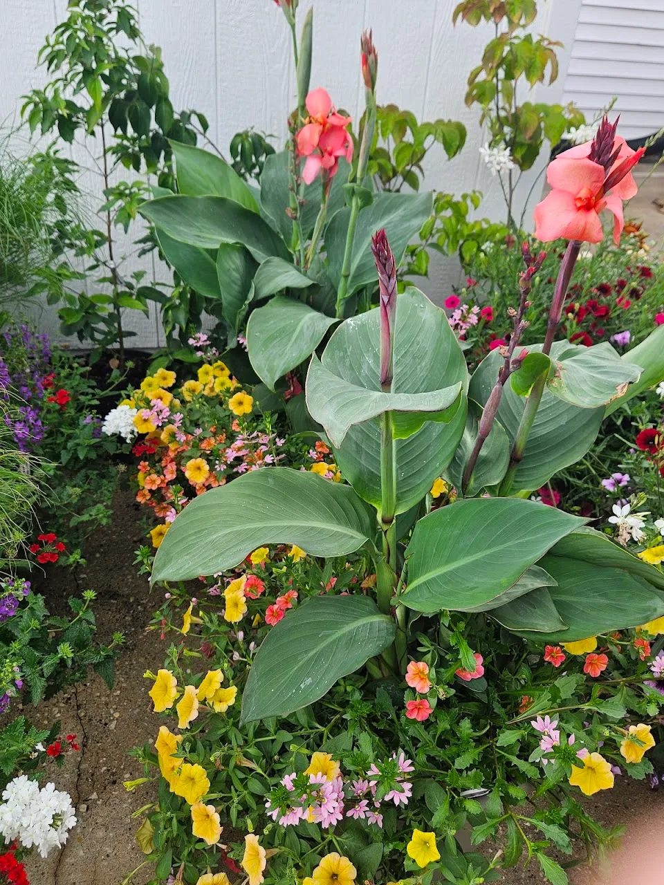 Wolfe's Lil Garden
