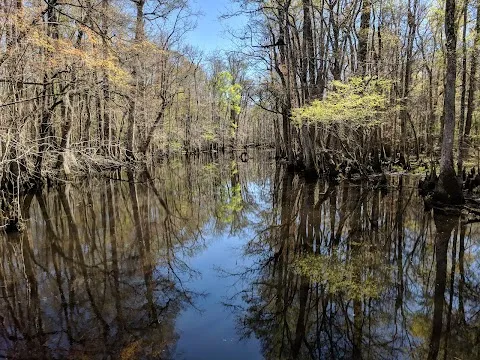 Audubon's Beidler Forest Sanctuary