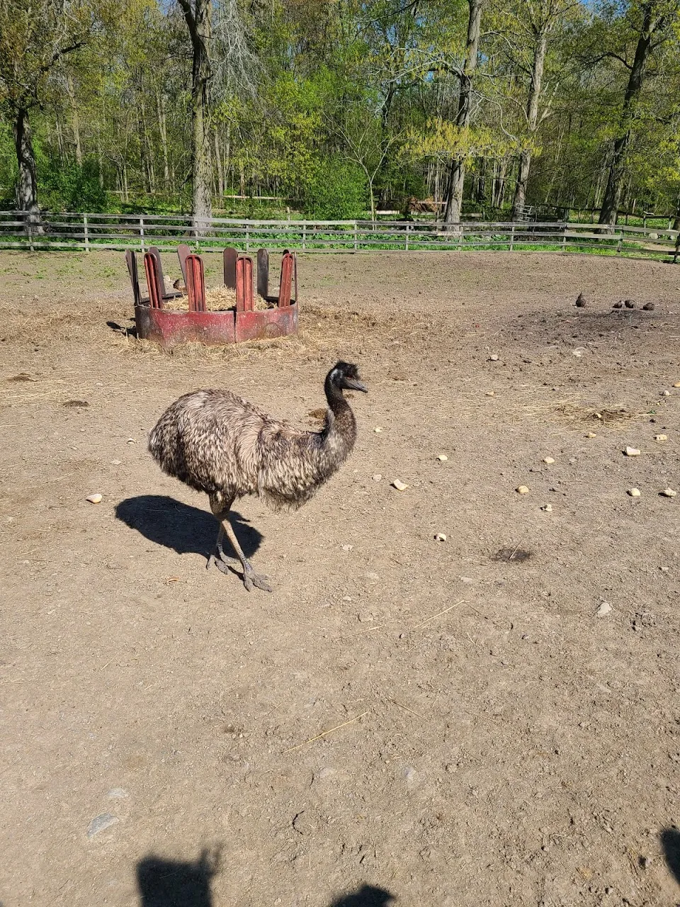 Saddle Brook Farm Animal Rescue