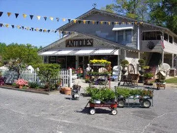 Carraways Treasures & Collectibles