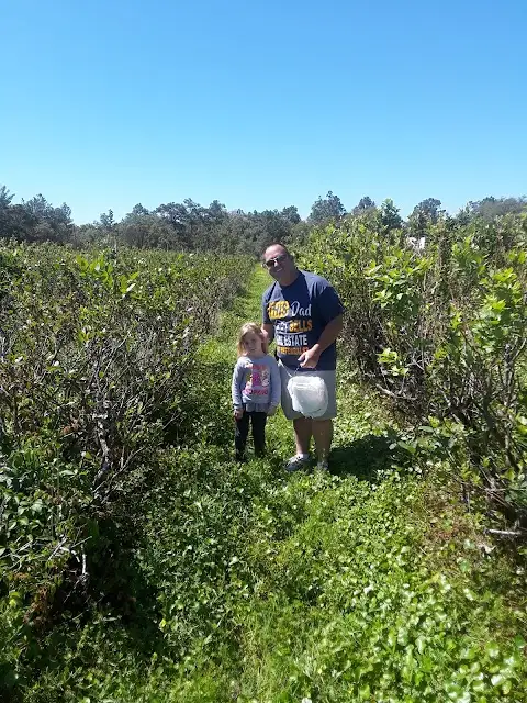 Margo's Blueberry Farm