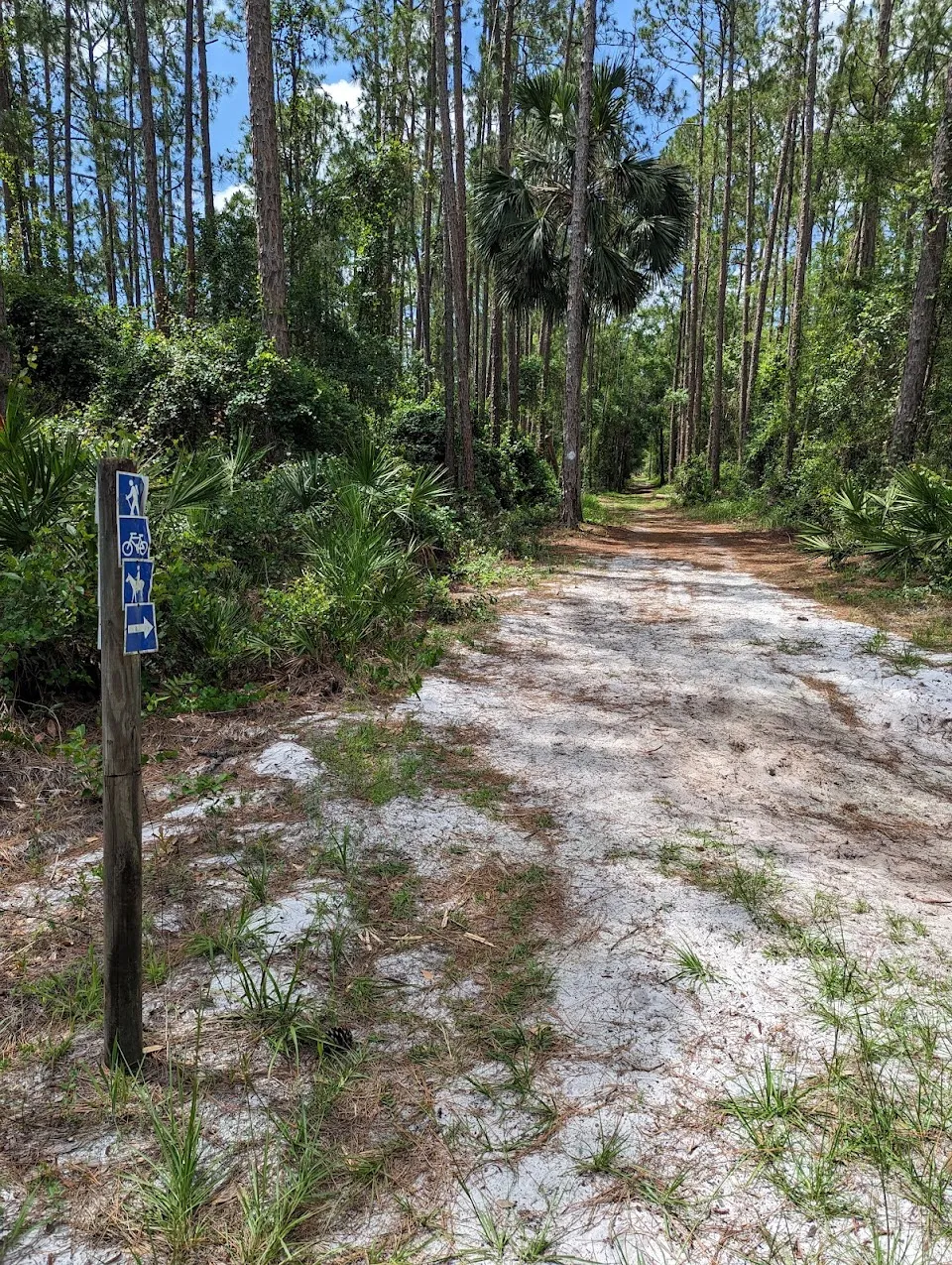 Palm Bluff Conservation Area