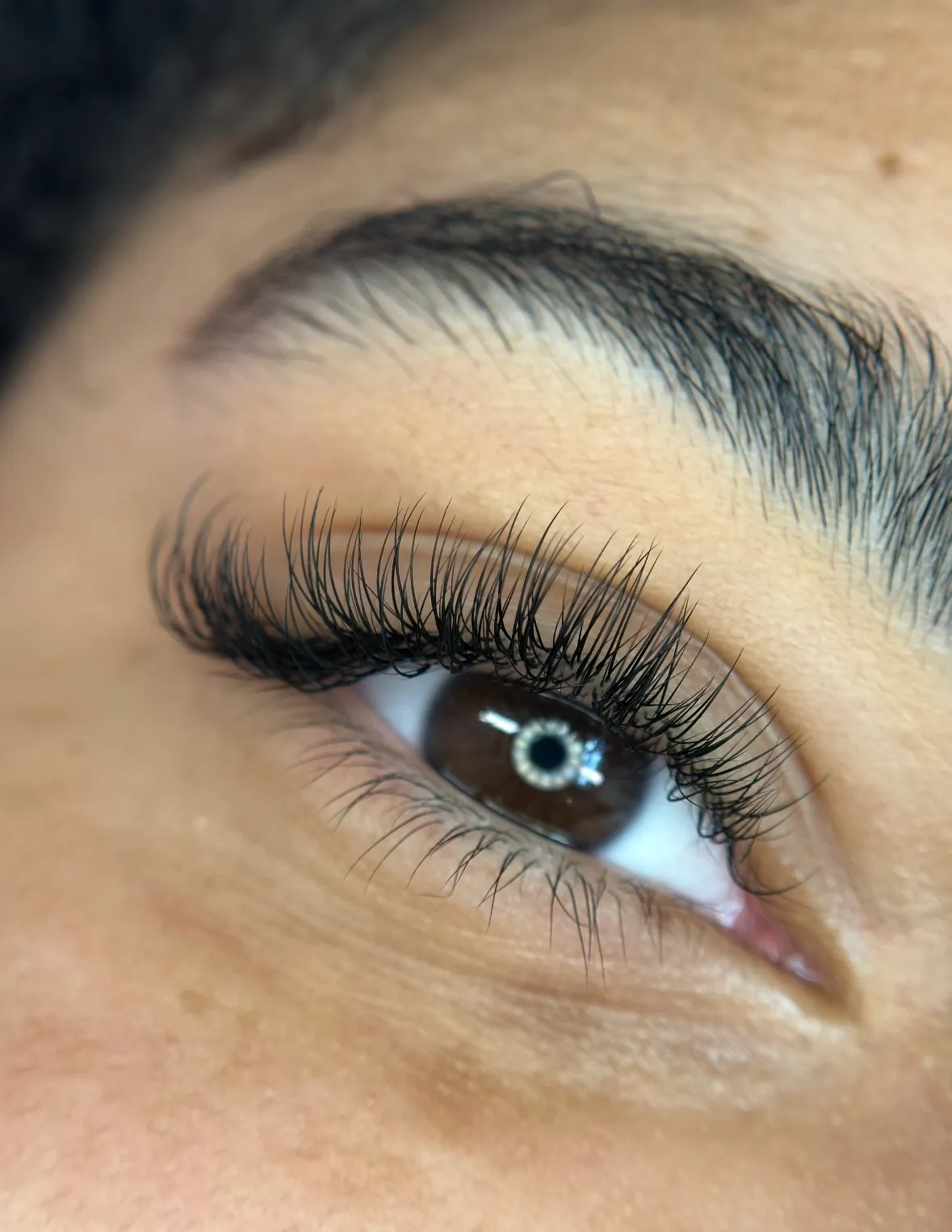 LashCo.