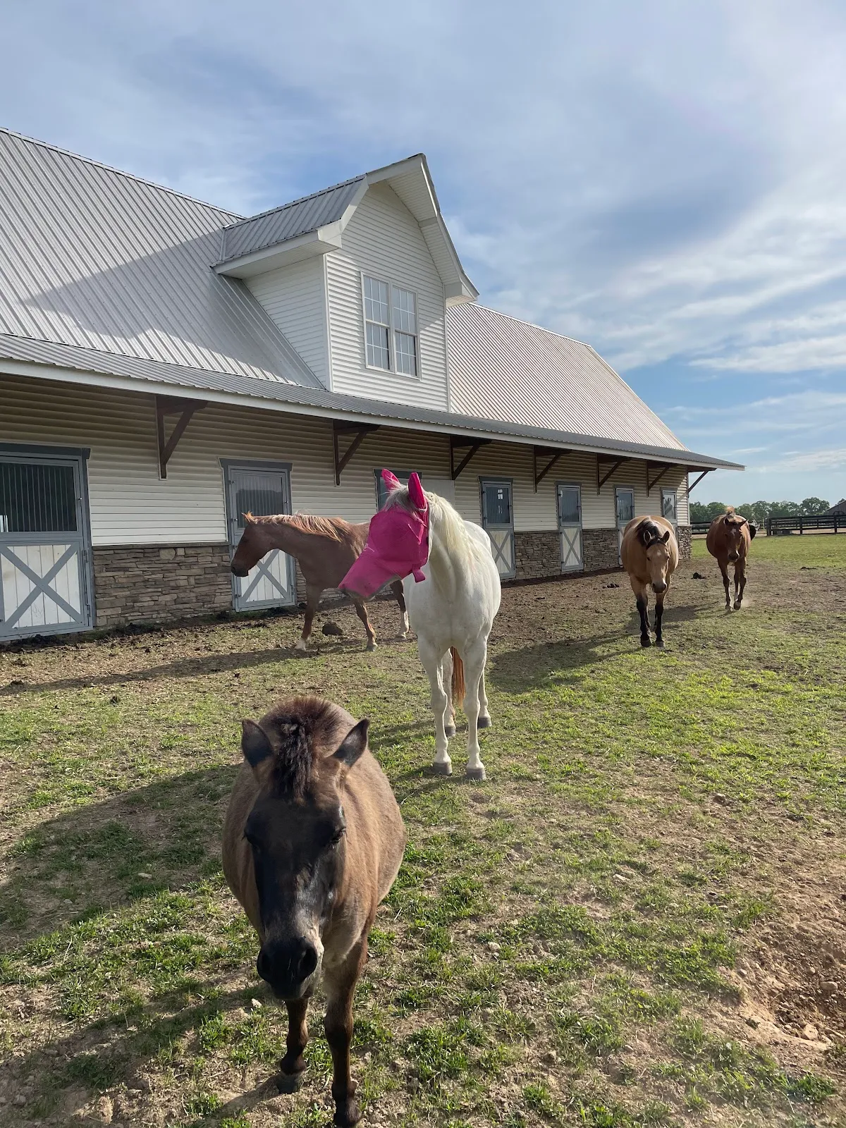 The Stables at Moore’s Springs