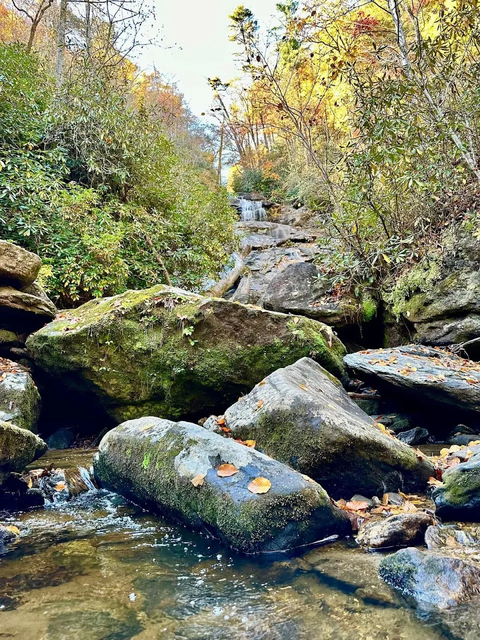 Holcomb Creek Falls