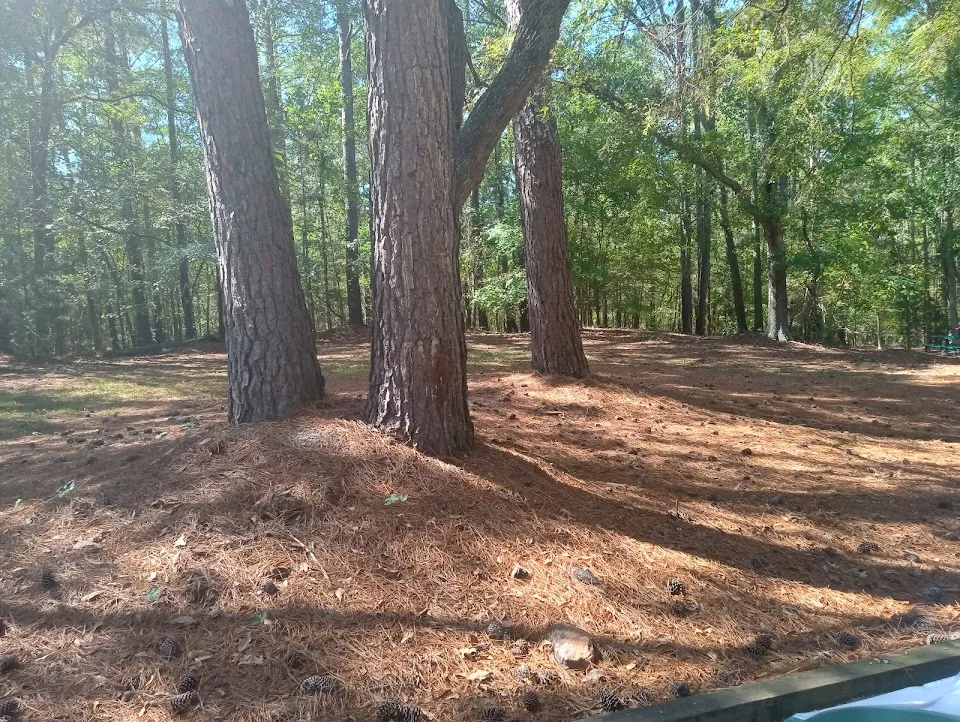Lawrence Shoals Campground