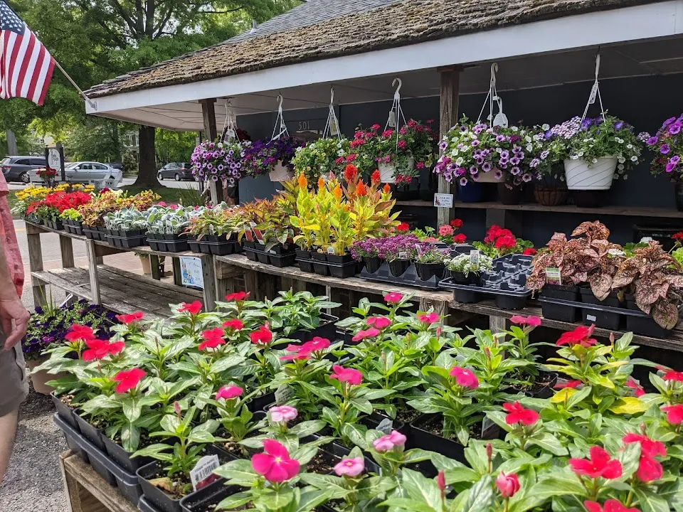 Village Shoppe