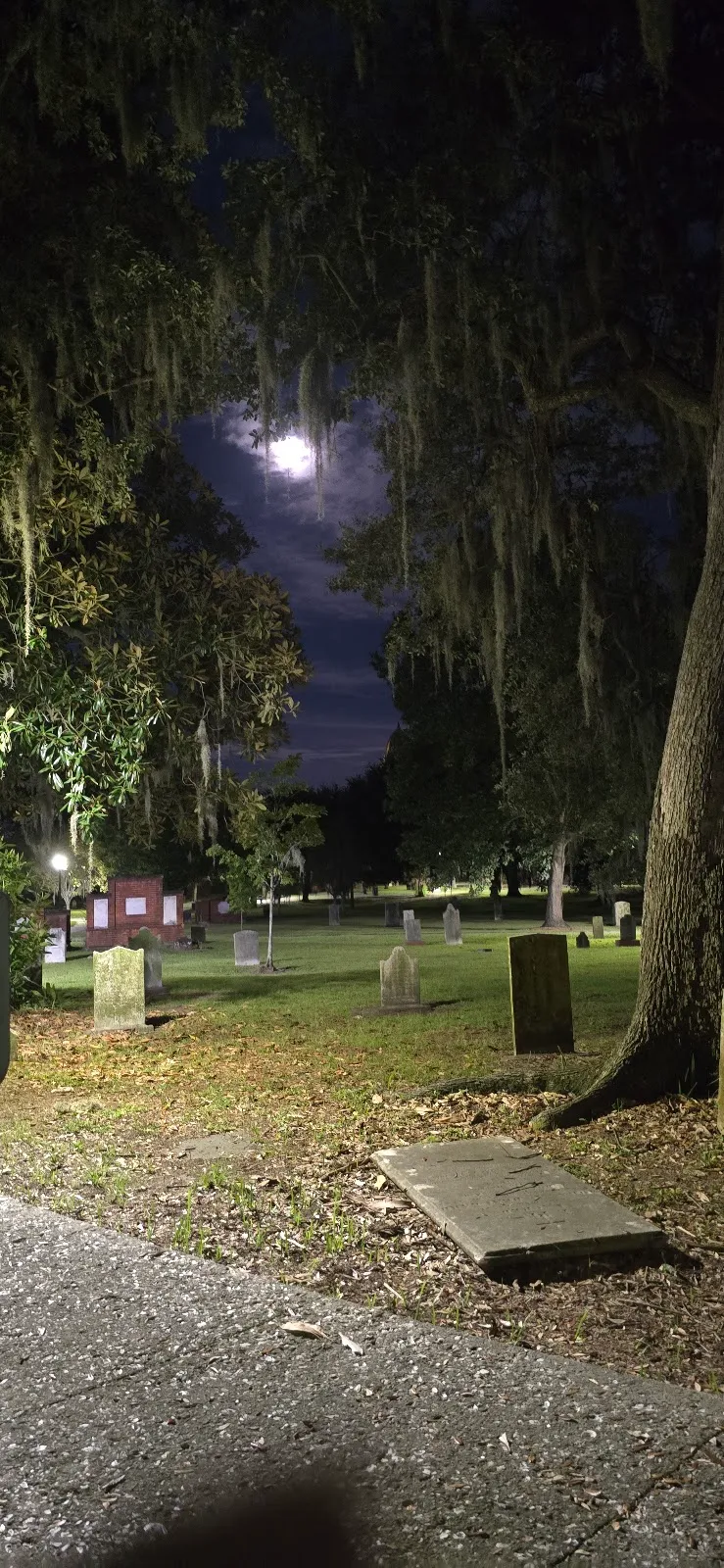 Savannah Ghost Tours®️