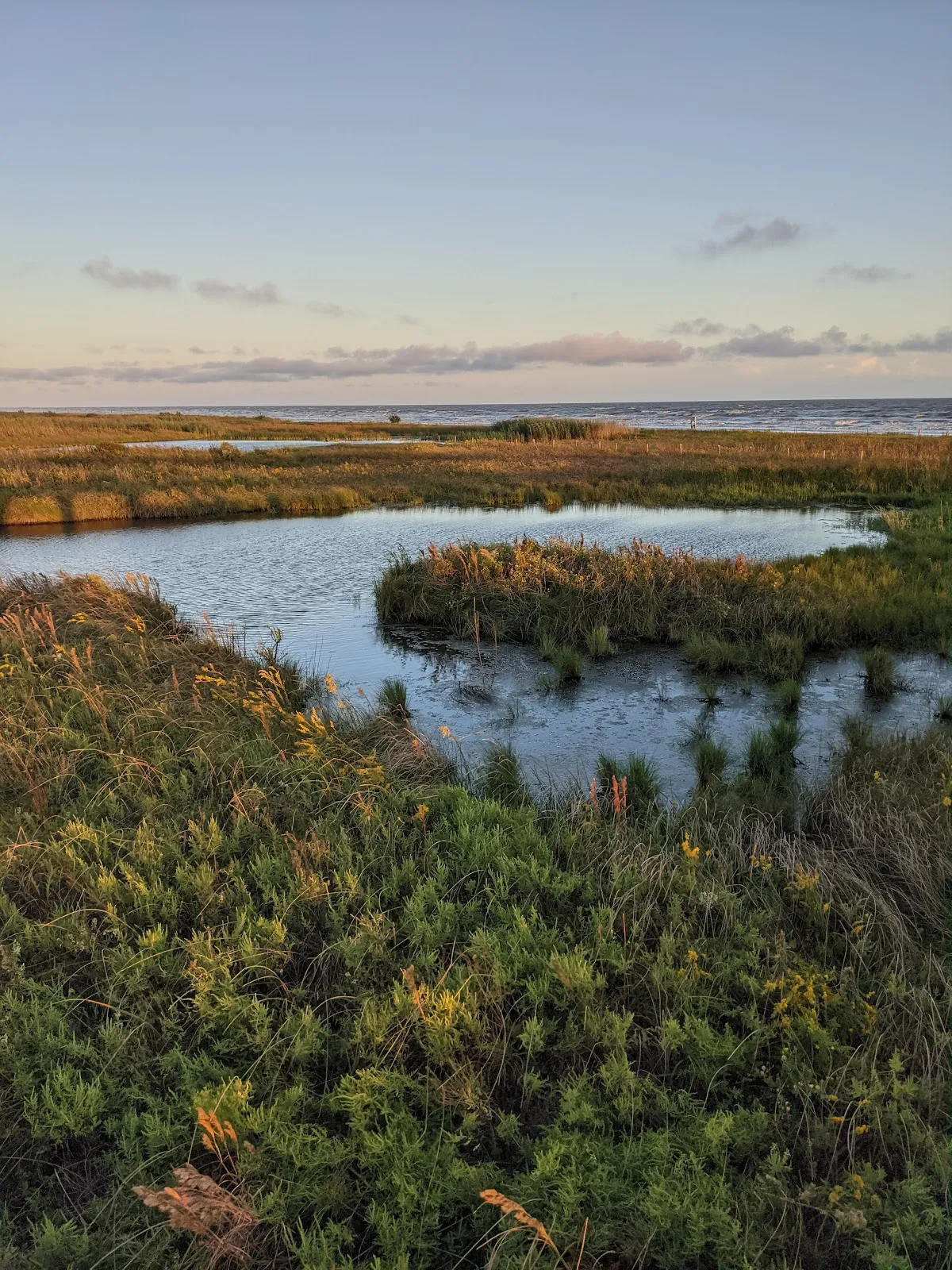 Sea Rim Tx Sea Rim State Park - Ben Rogers Jefferson County