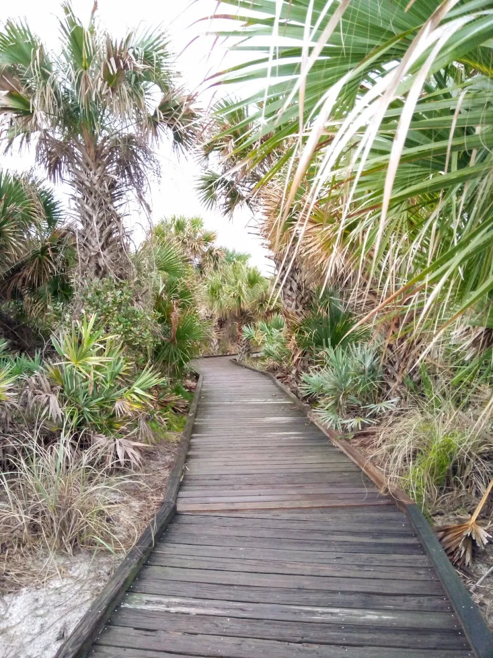 Grayce K. Barck North Beach Community Park