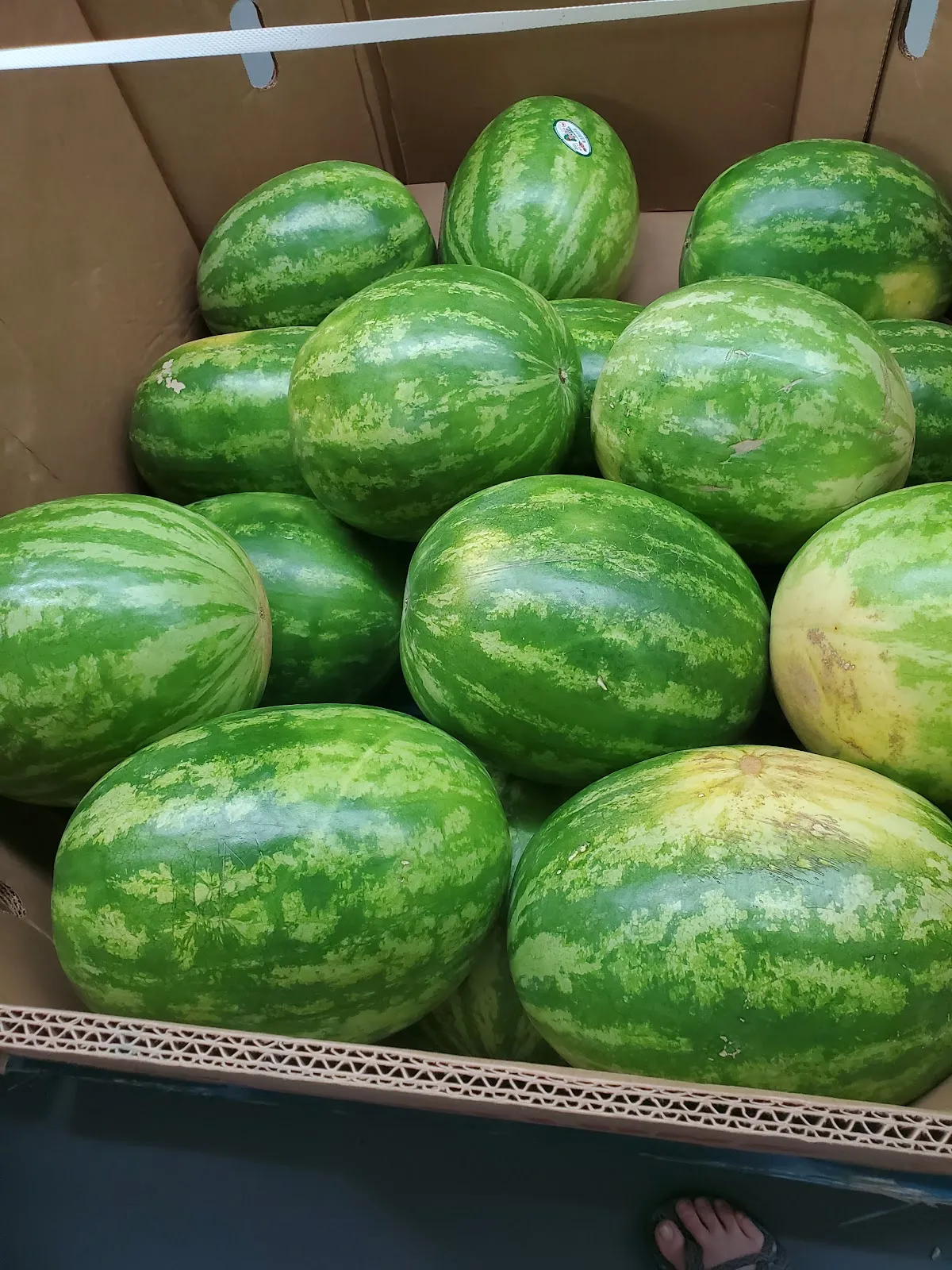 Holland Produce LLC