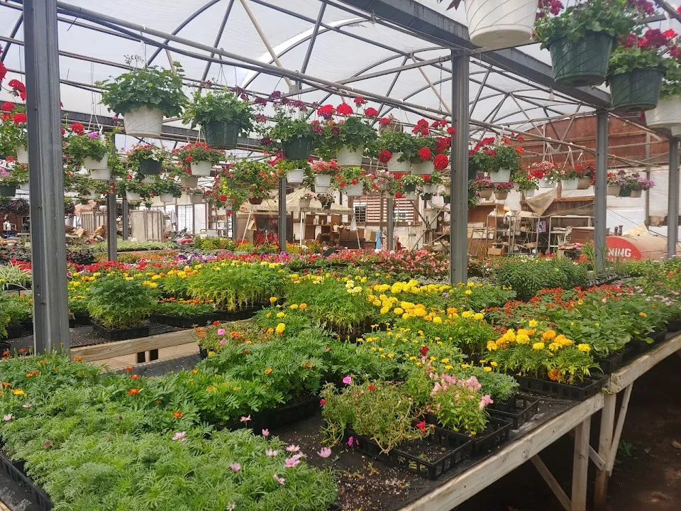 Hoeffner Farms Inc