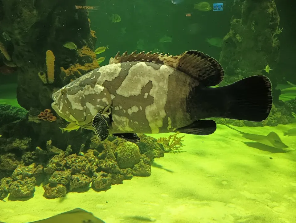 Daytona Aquarium & Rainforest Adventure