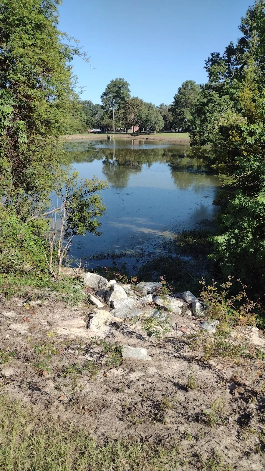Roma Rd Park