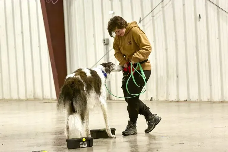 New York State Canine Expo
