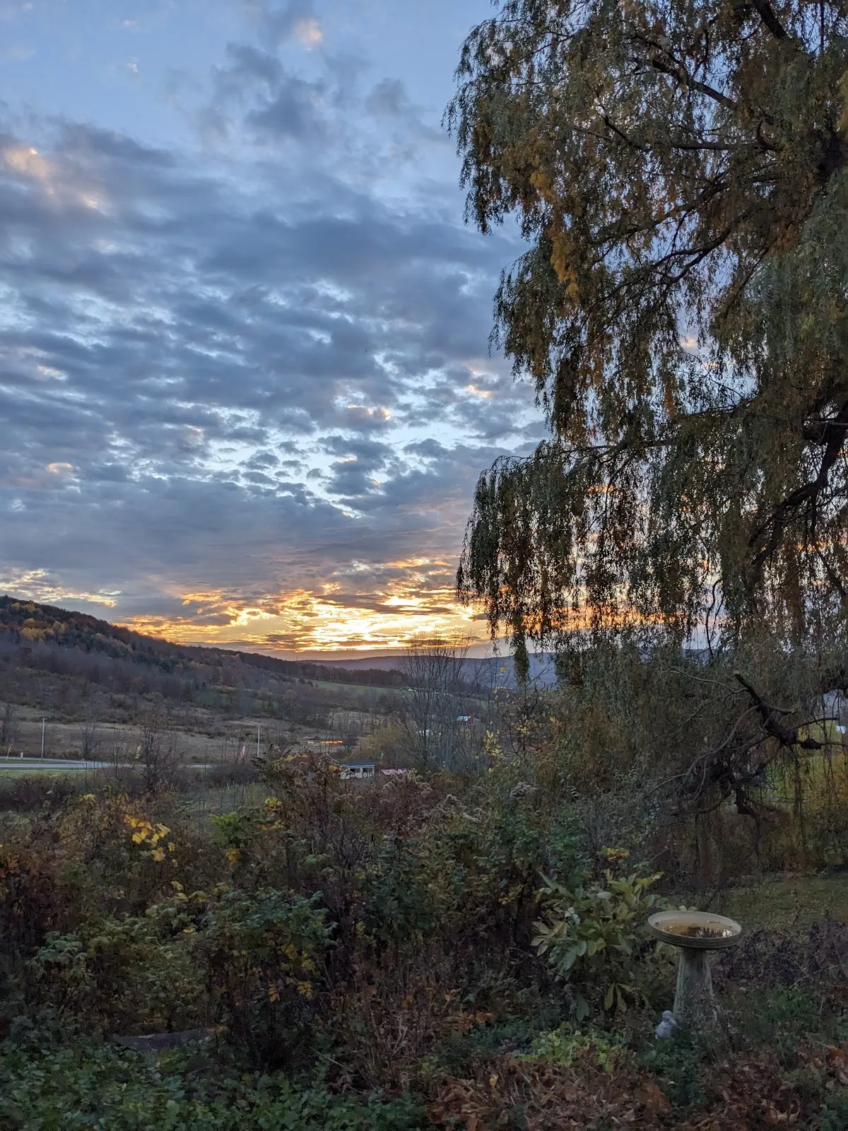 Sunstruck Farm