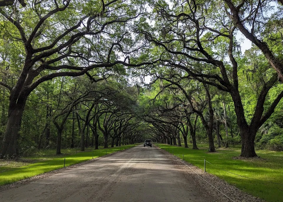 Wormsloe State Historic Site