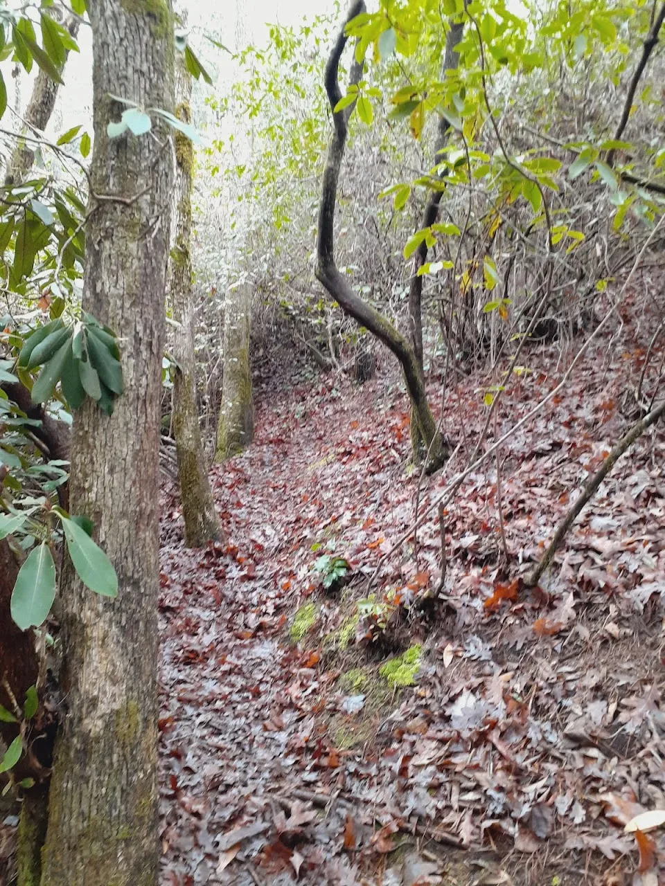 Sids Falls Trail