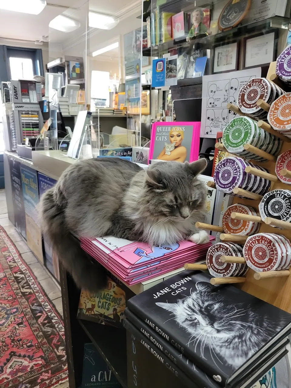 The Book Lady Bookstore