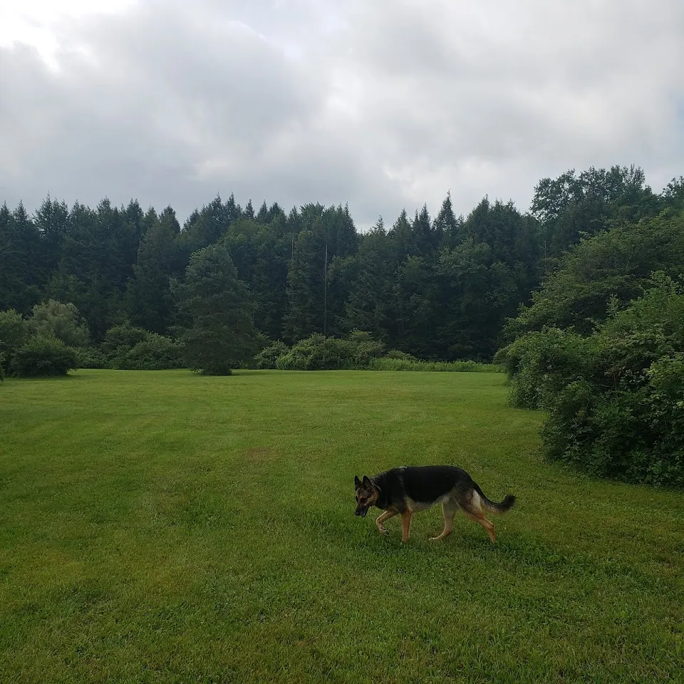 Spruce Creek Campground