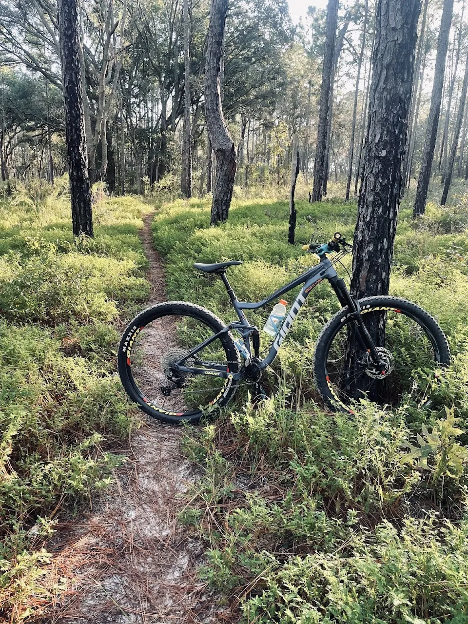 Croom MTB parking 1