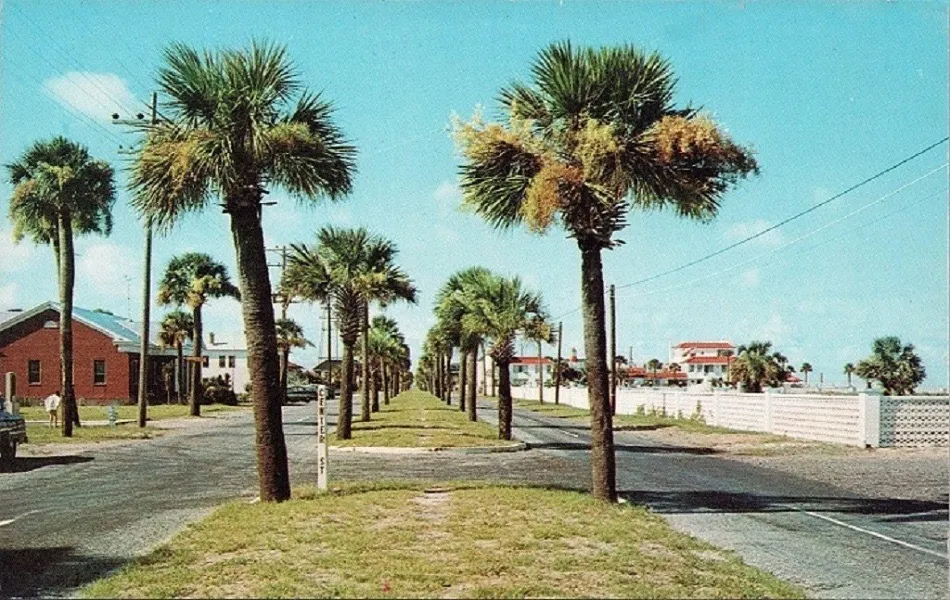 My Beach House Vacation Rentals on Tybee Island, GA