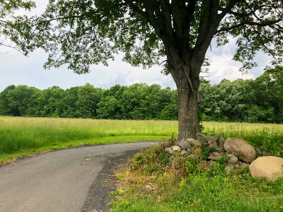 Crawford Walking Trail