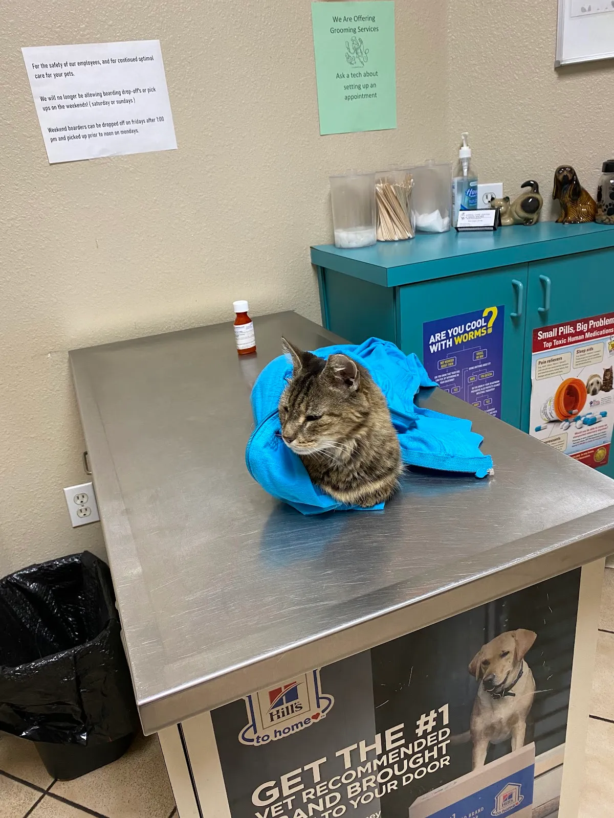Animal Care Center-Weeki Wachee