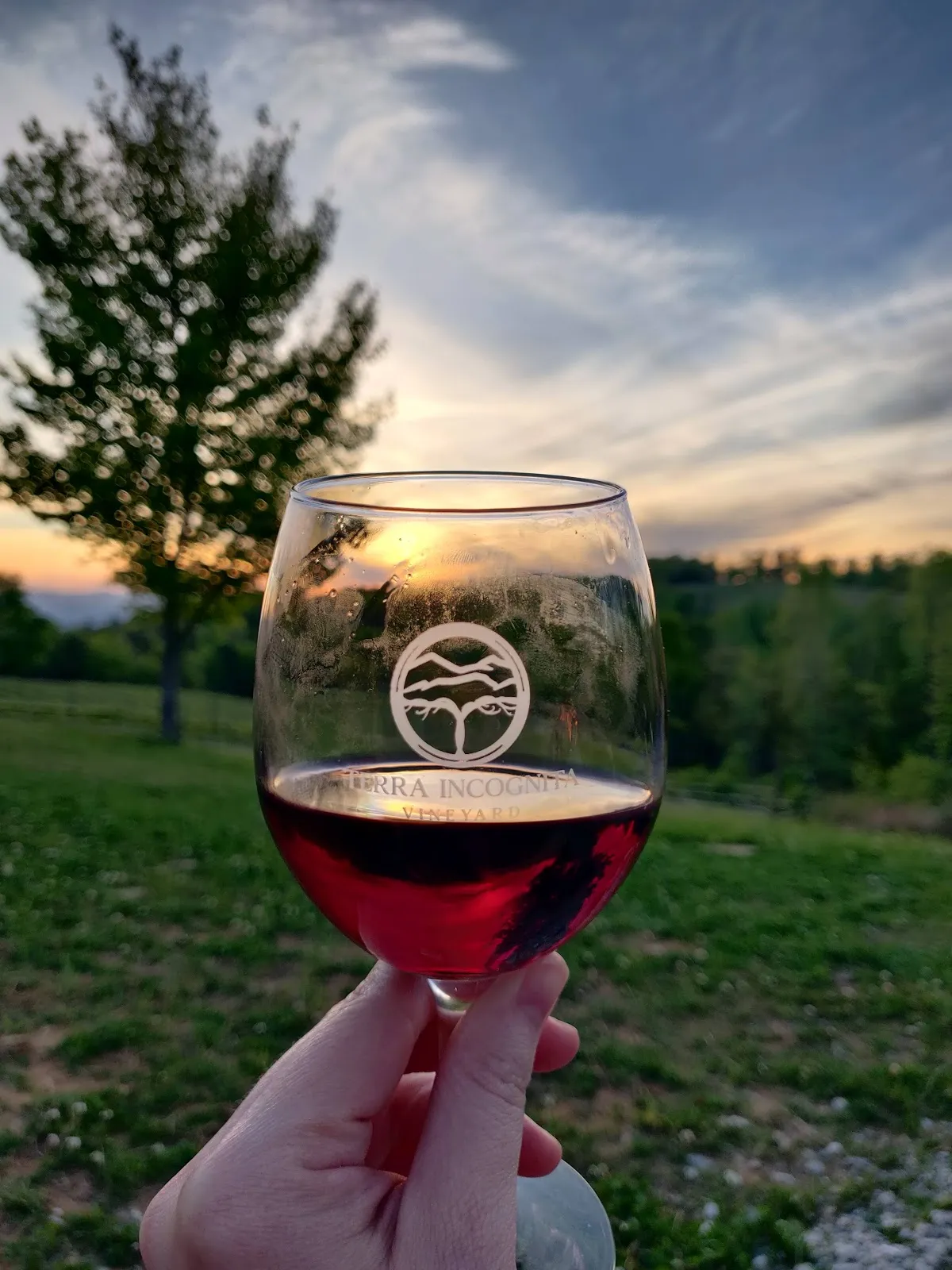 Terra Incognita Vineyard