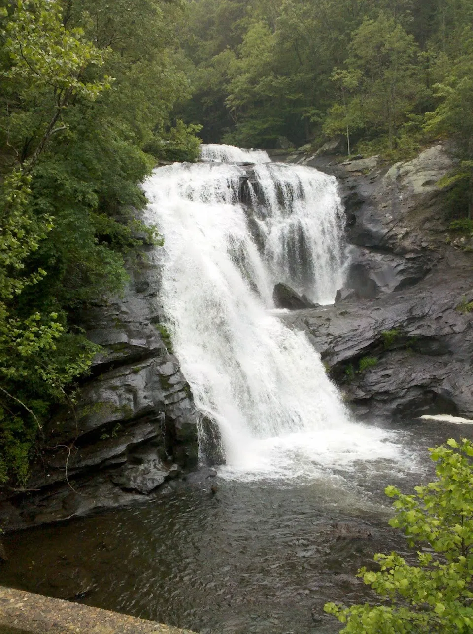 Chattahoochee National Forest