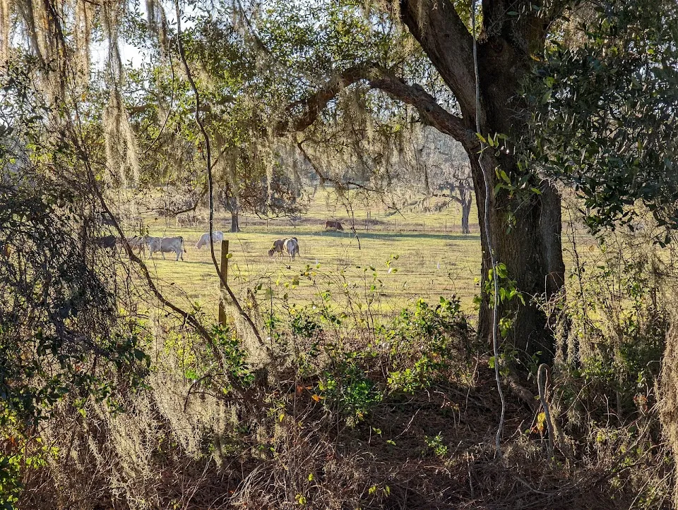 Withlacoochee State Trail - Ridge Manor Trailhead