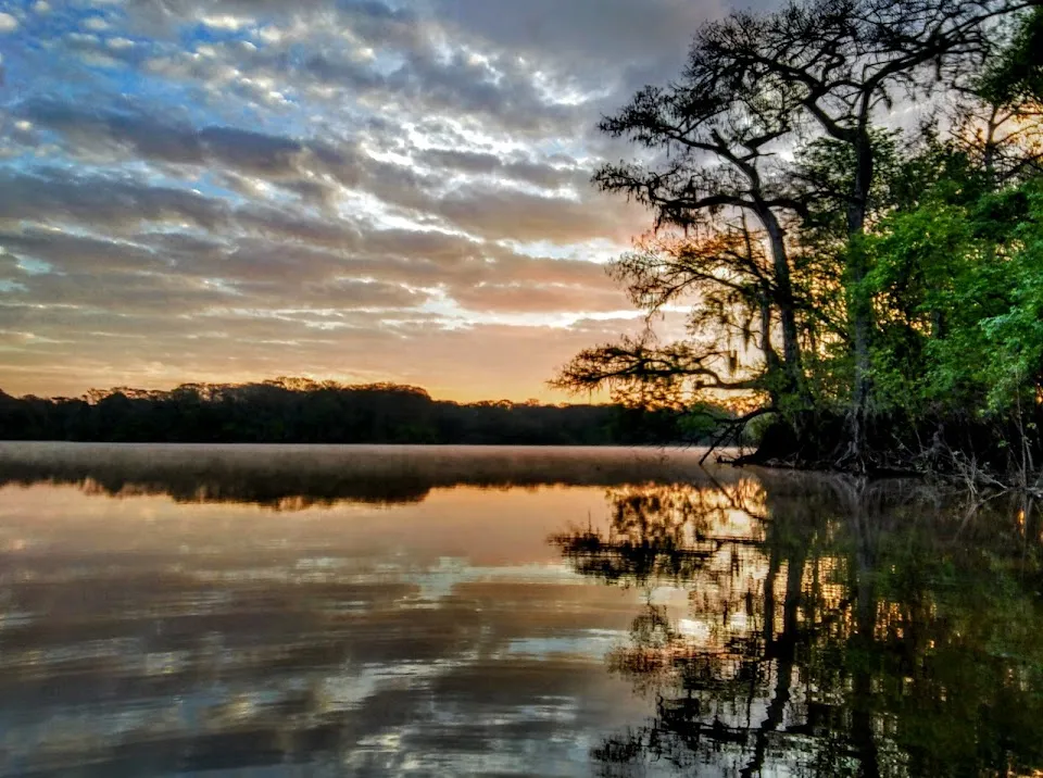 Withlacoochee State Forest
