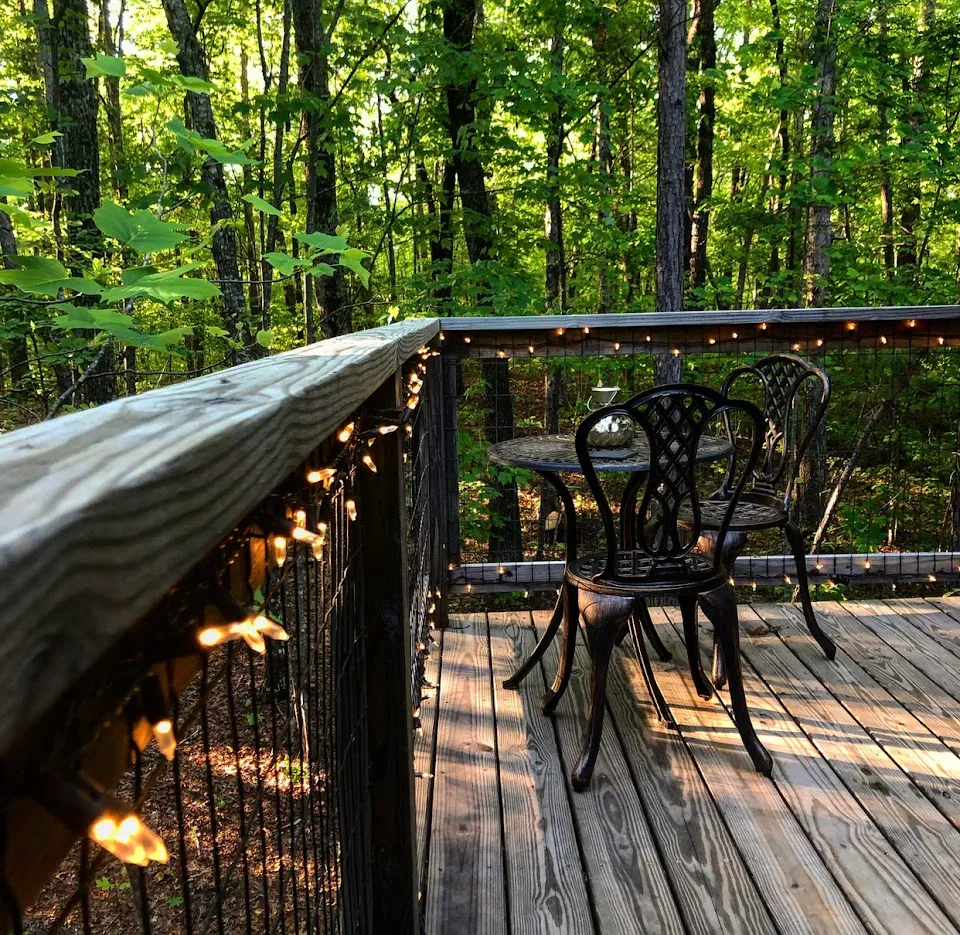 Bella Luna Treehouse - Come Sleep in the Trees