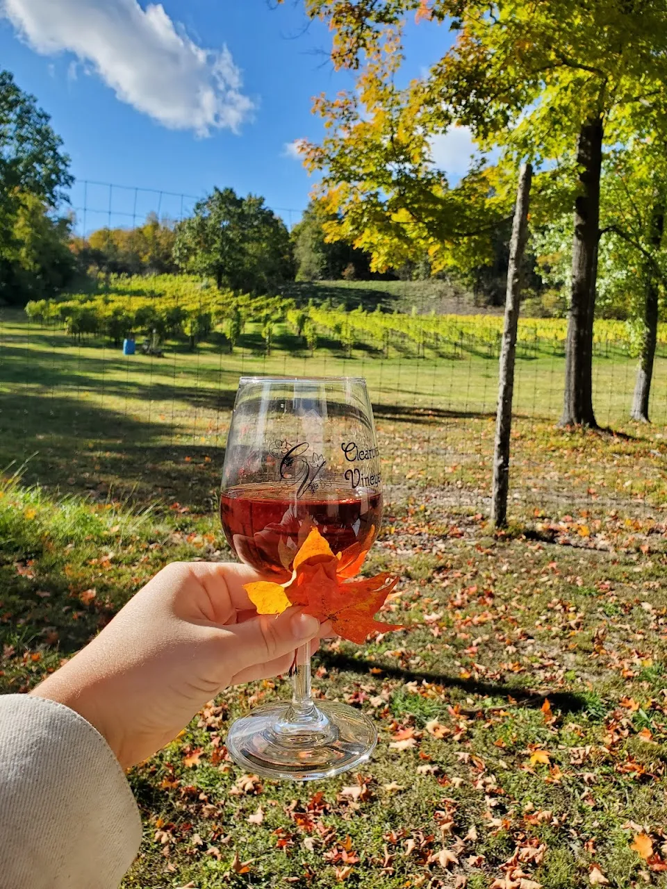 Clearview Vineyard & Winery