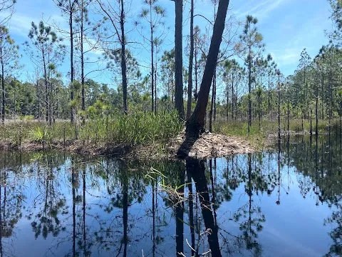 D Ranch Preserve