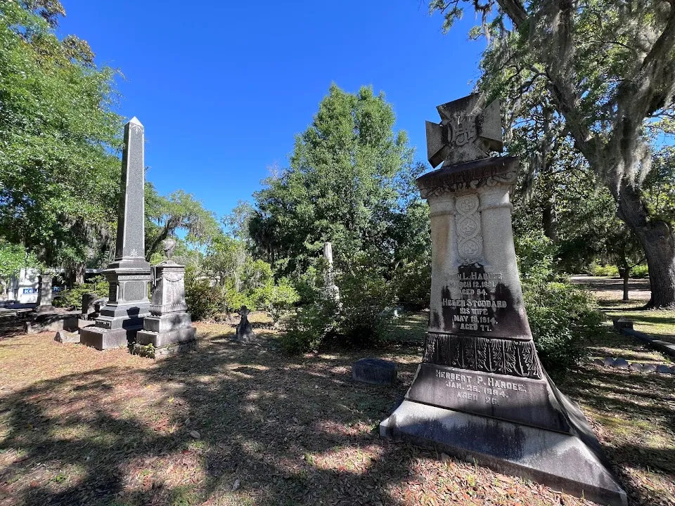 Gray Line Savannah
