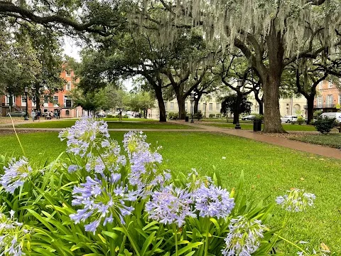 Oglethorpe Square