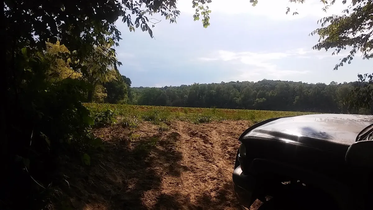 Flippin Farm On the Dan
