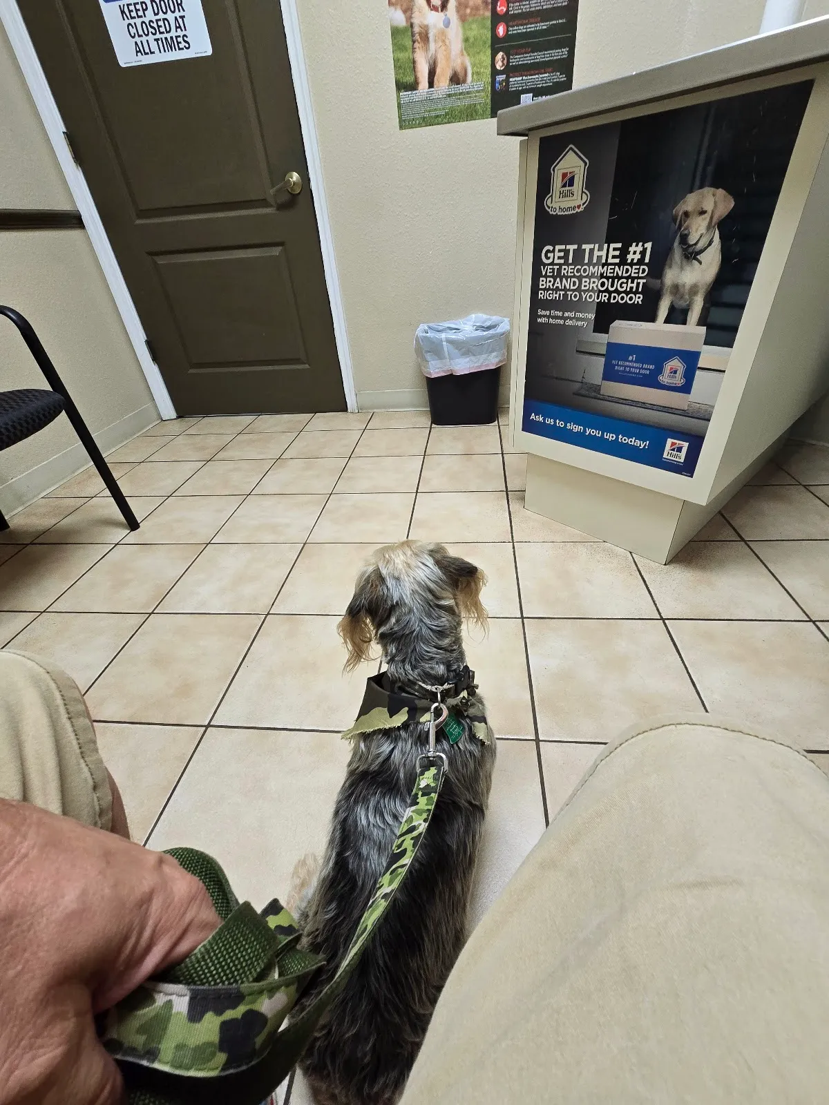 Animal Care Center-Weeki Wachee