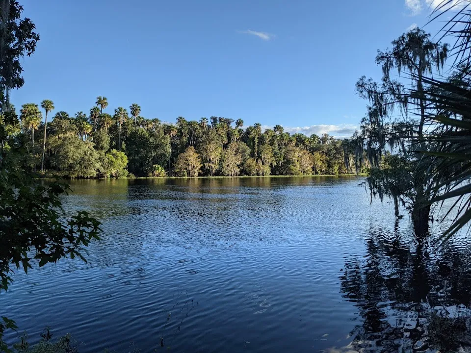 Hickory Bluff Preserve