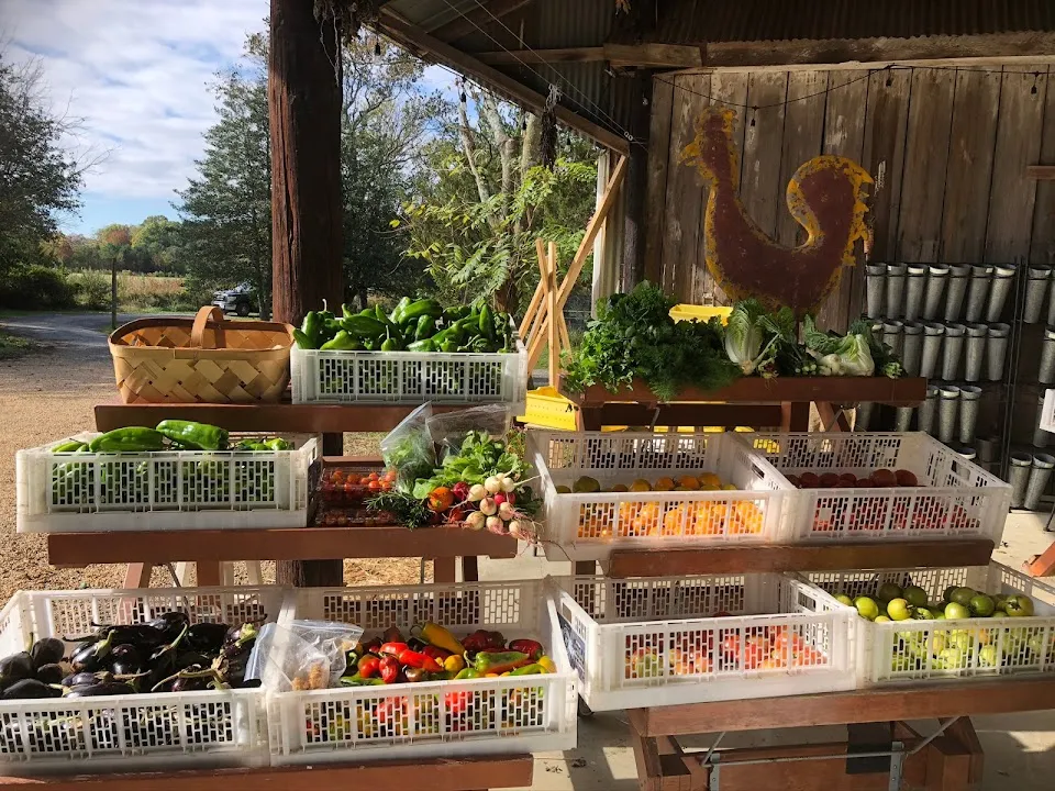 Cottingham Farm