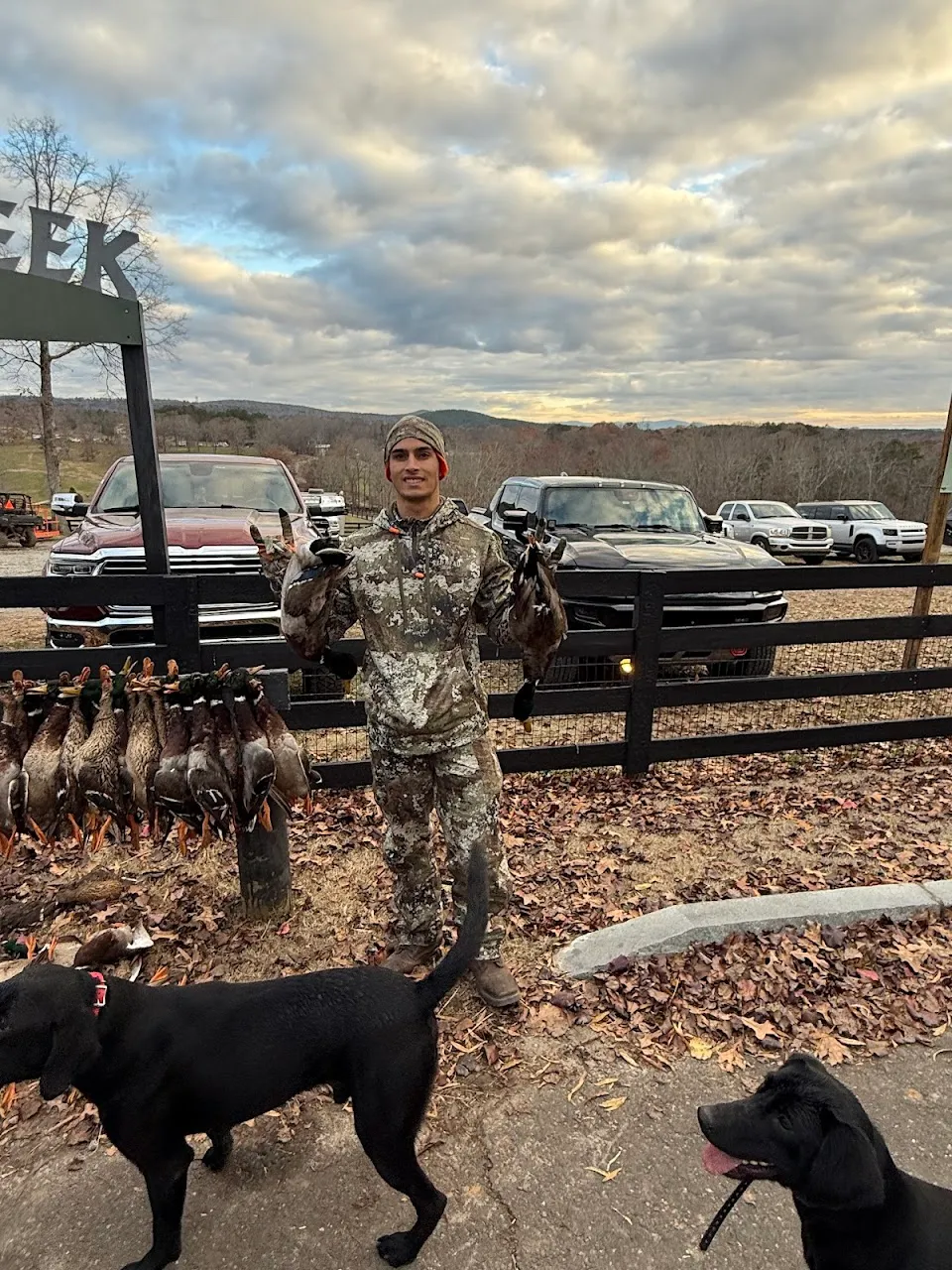 Wiley Creek Duck Preserve